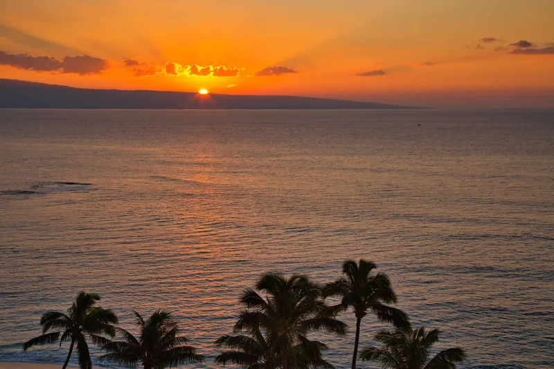 Sunset over the ocean from West Maui, with palm trees in the foreground
