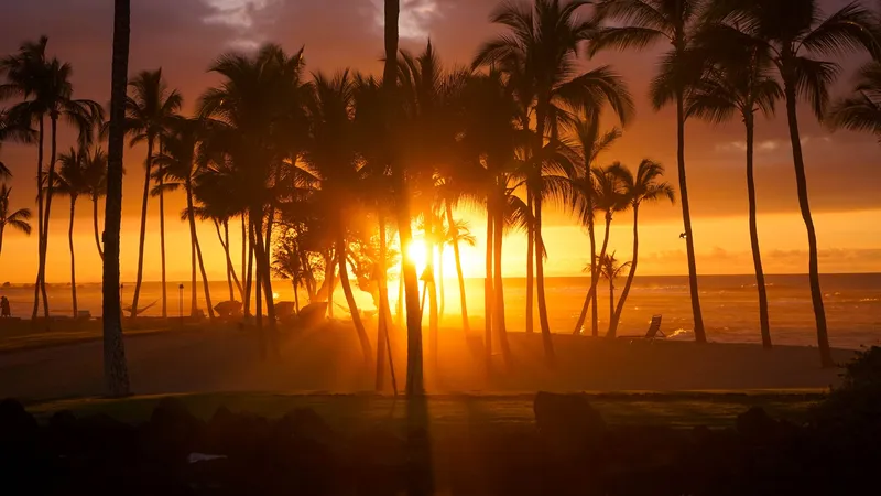 Palm trees silhouetted against a Hawaiian sunset over the ocean