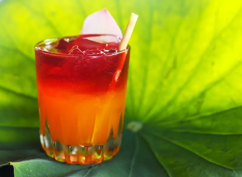 Layered red and orange tropical cocktail on a green leaf