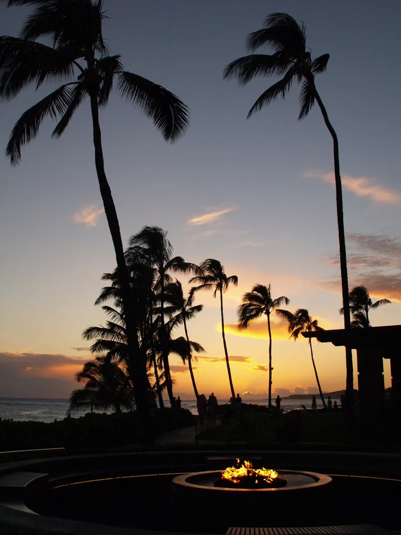 Palm trees and a fire pit at a beachfront resort at dusk